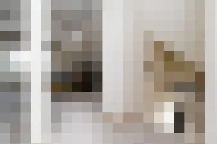 De Heeren van 's-Gravensande 123 's-Gravenzande thumbnail 33