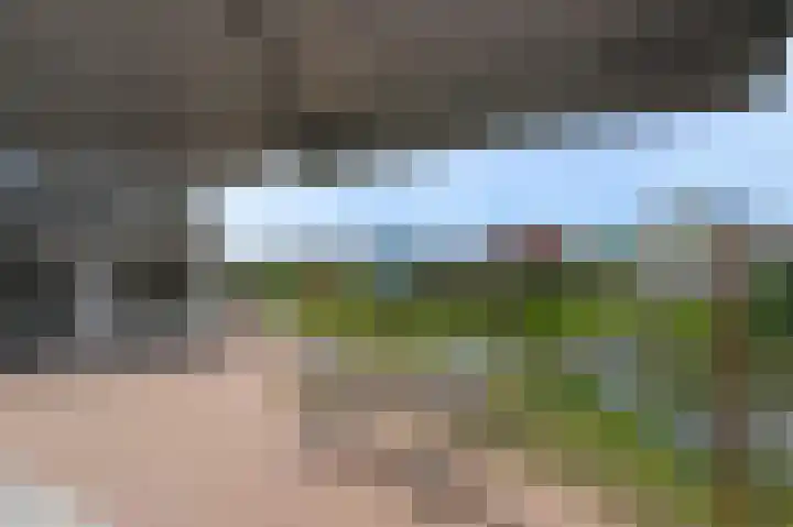 De Heeren van 's-Gravensande 123 's-Gravenzande thumbnail 4