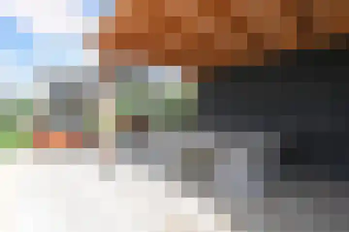 De Heeren van 's-Gravensande 123 's-Gravenzande thumbnail 42
