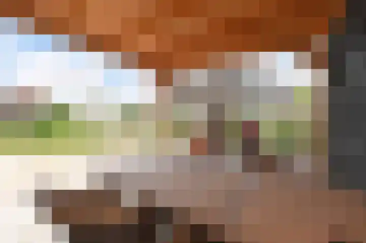 De Heeren van 's-Gravensande 123 's-Gravenzande thumbnail 43
