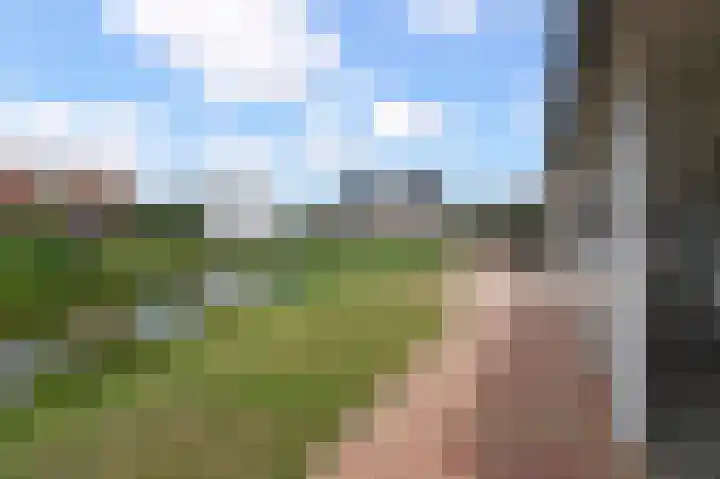 De Heeren van 's-Gravensande 123 's-Gravenzande thumbnail 49