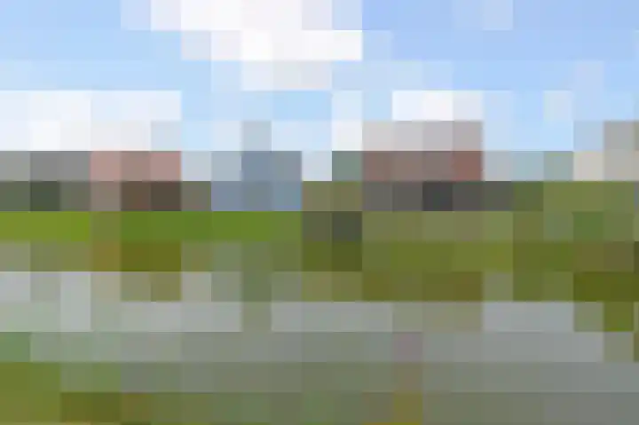 De Heeren van 's-Gravensande 123 's-Gravenzande thumbnail 51