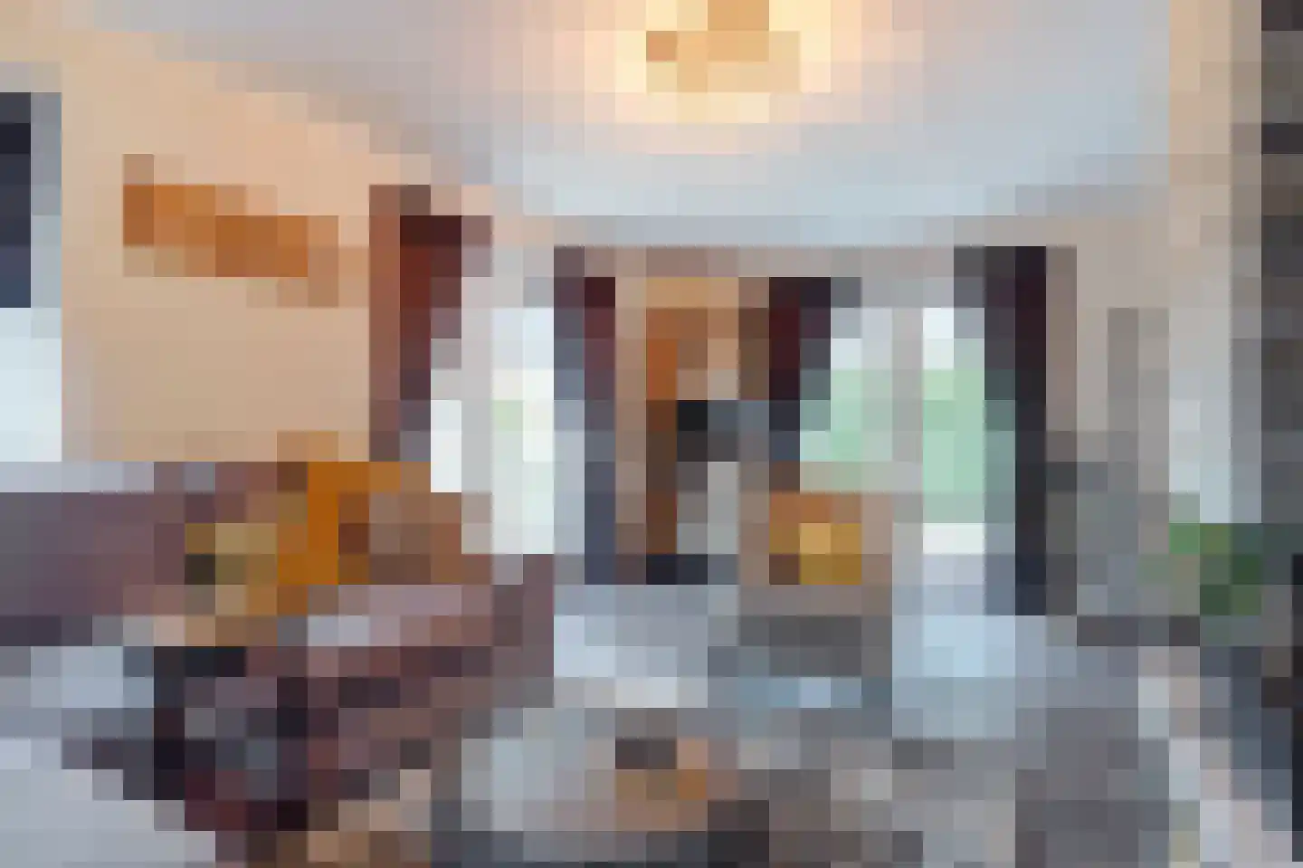 De Heeren van 's-Gravensande 130 's-Gravenzande thumbnail 10