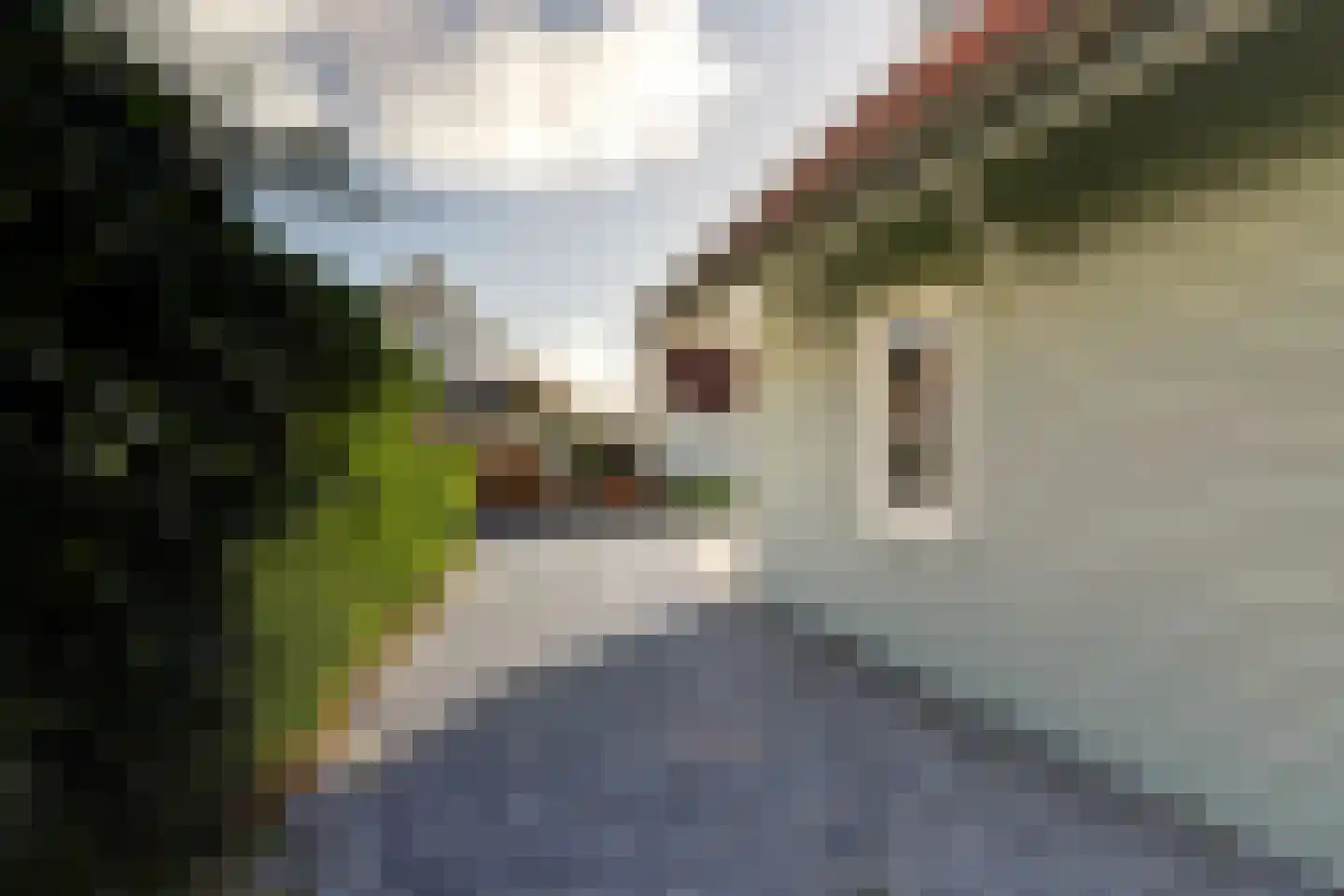 De Heeren van 's-Gravensande 130 's-Gravenzande thumbnail 27
