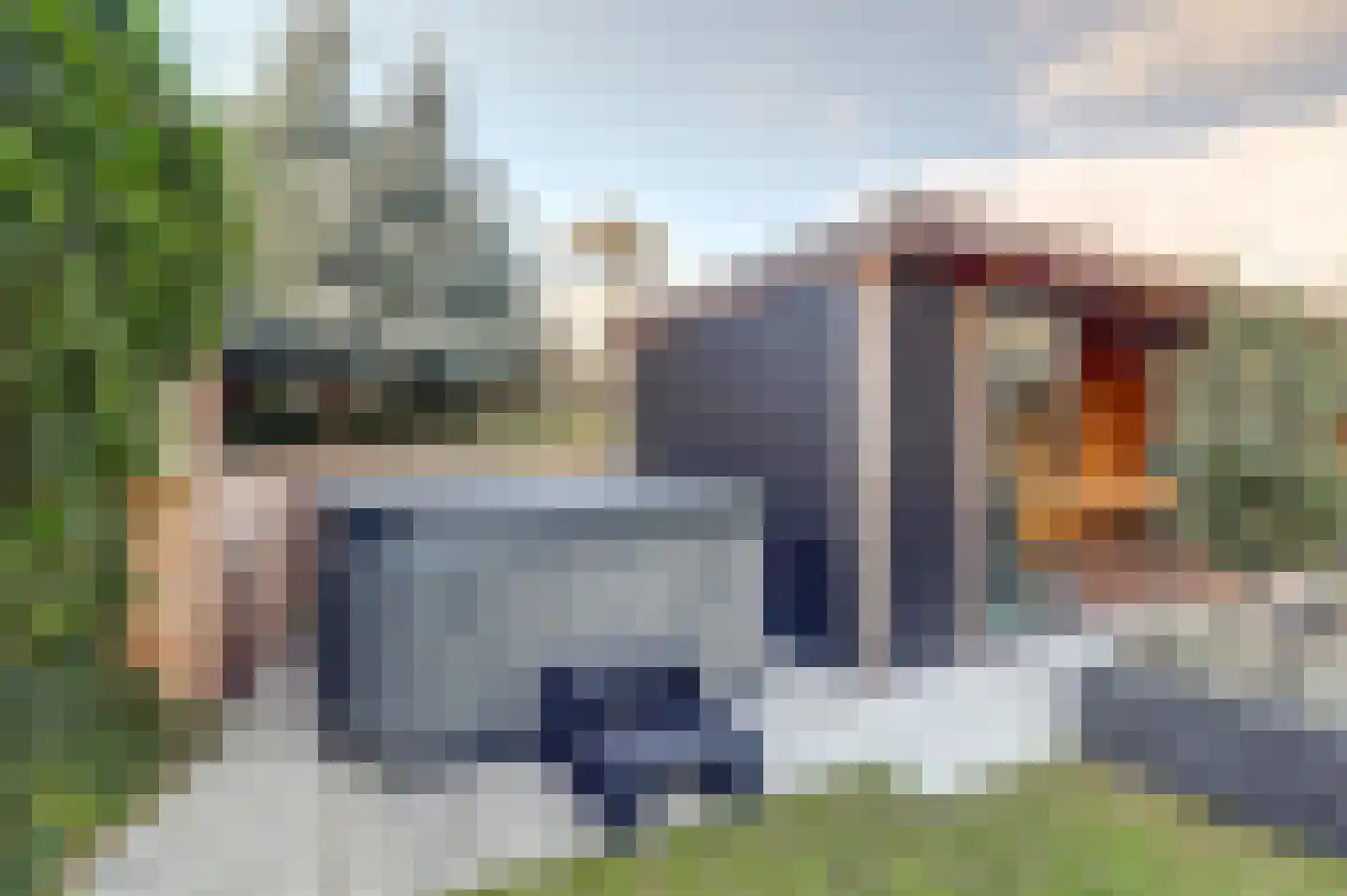 De Heeren van 's-Gravensande 130 's-Gravenzande thumbnail 30