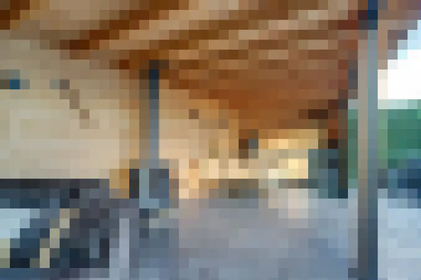De Heeren van 's-Gravensande 130 's-Gravenzande thumbnail 32