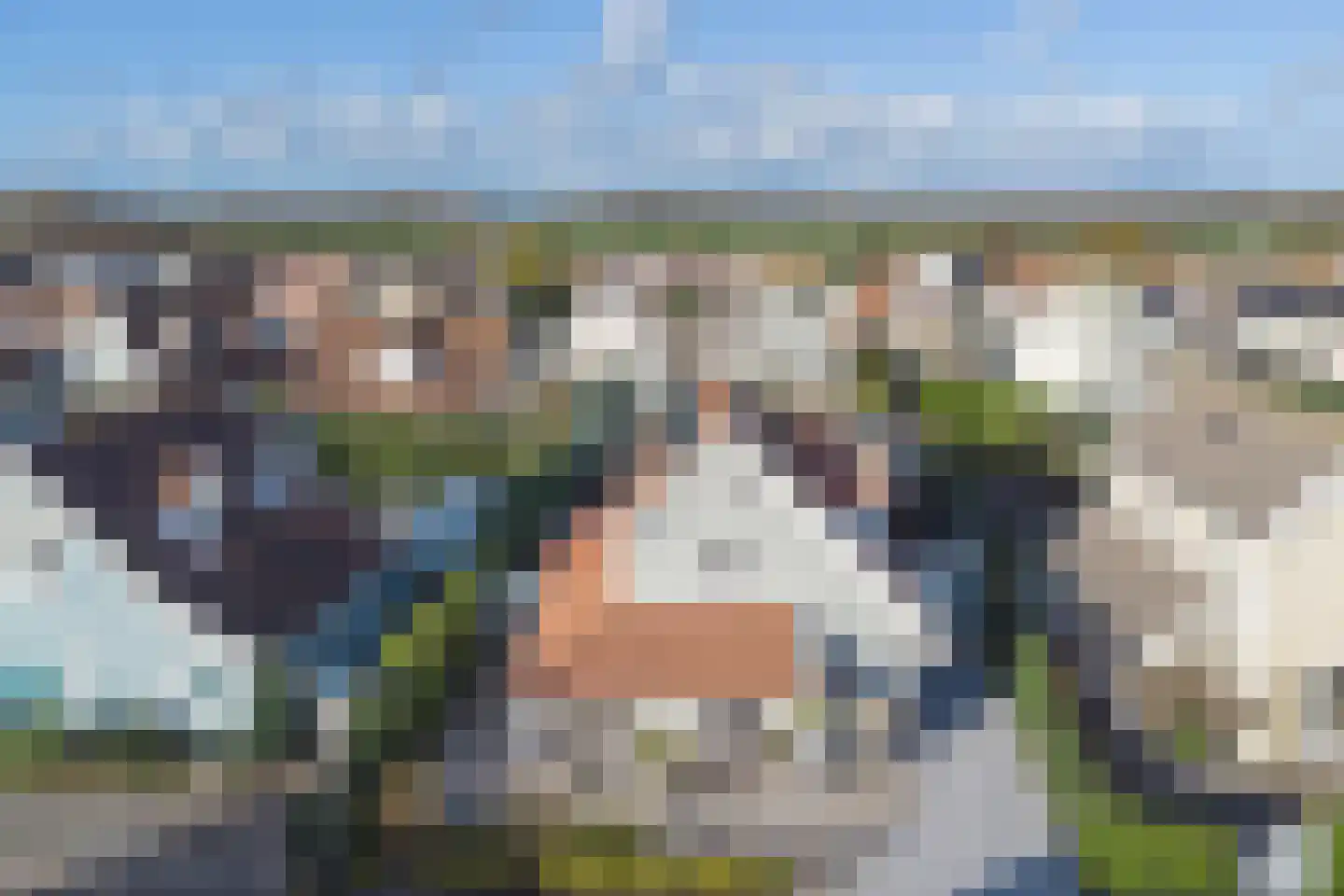 De Heeren van 's-Gravensande 130 's-Gravenzande thumbnail 41