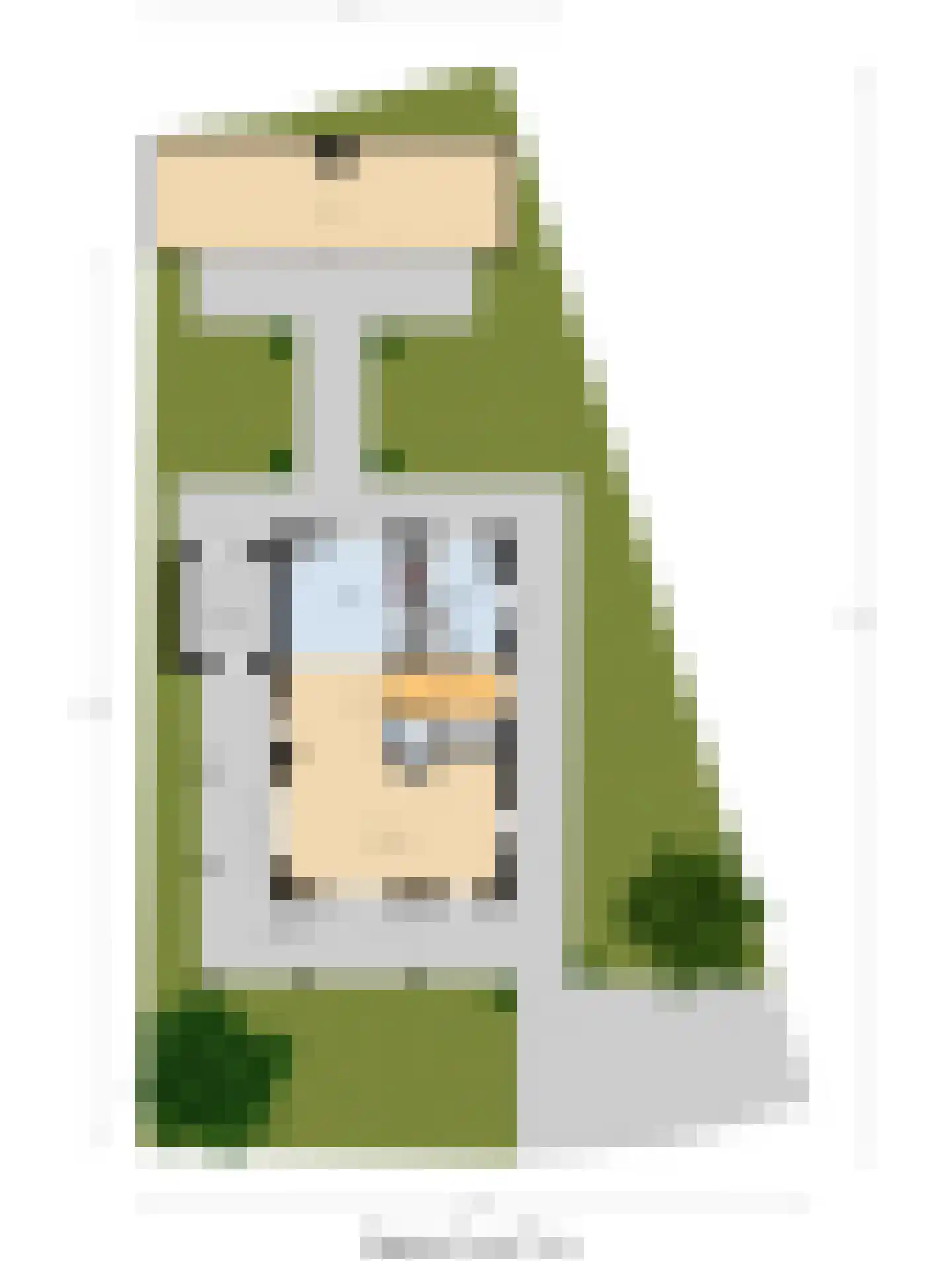 De Heeren van 's-Gravensande 130 's-Gravenzande thumbnail 43