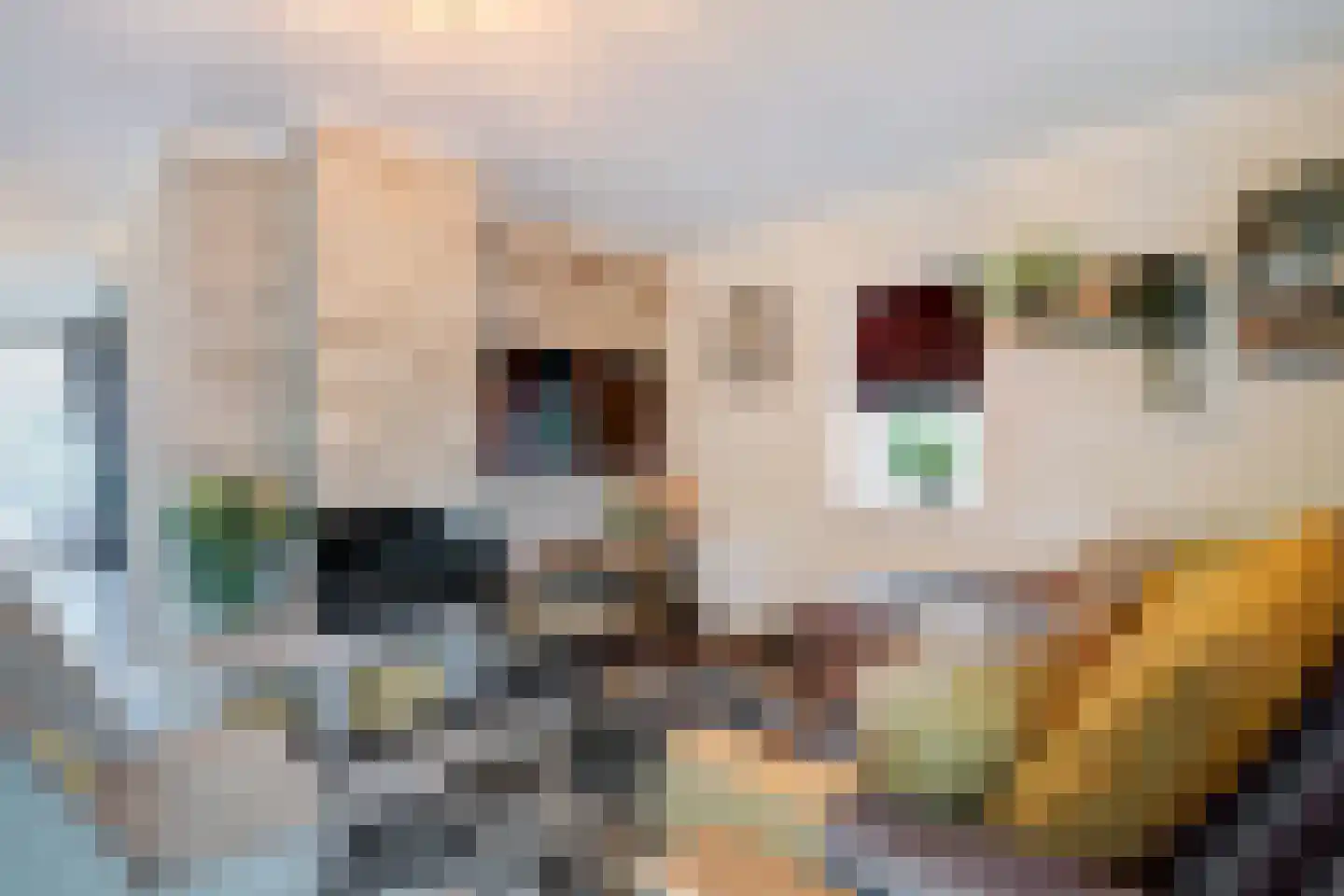 De Heeren van 's-Gravensande 130 's-Gravenzande thumbnail 8