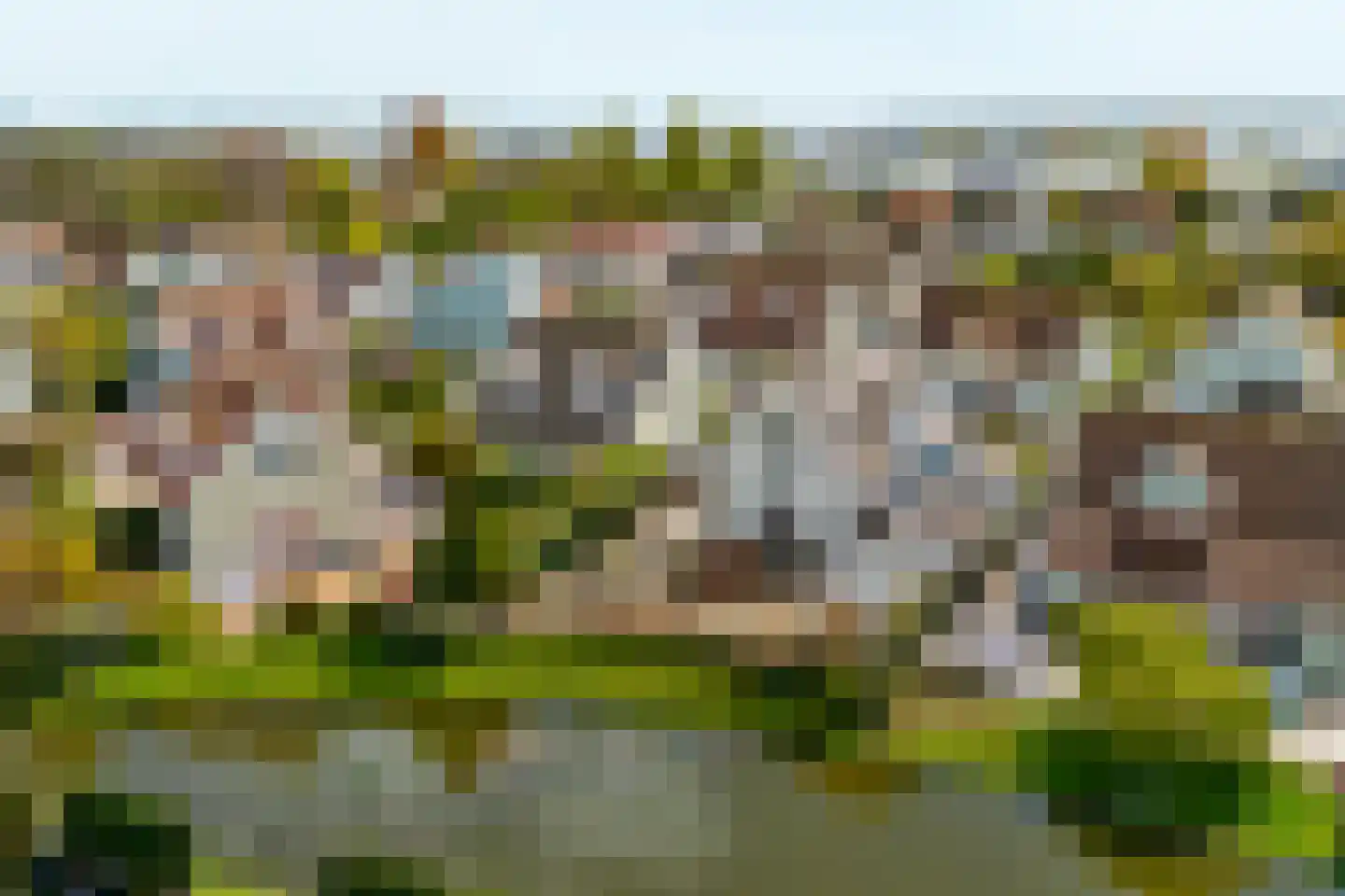 De Heeren van 's-Gravensande 135 dans 's-Gravenzande