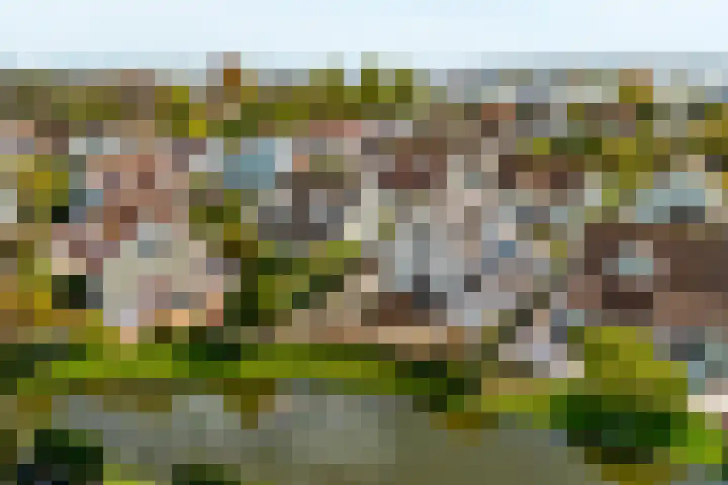 De Heeren van 's-Gravensande 135 's-Gravenzande
