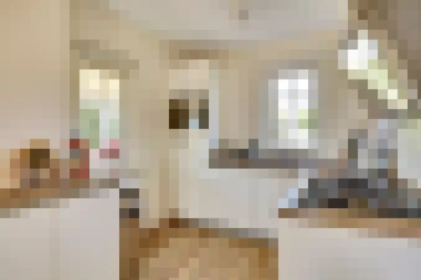 De Heeren van 's-Gravensande 14 's-Gravenzande thumbnail 12