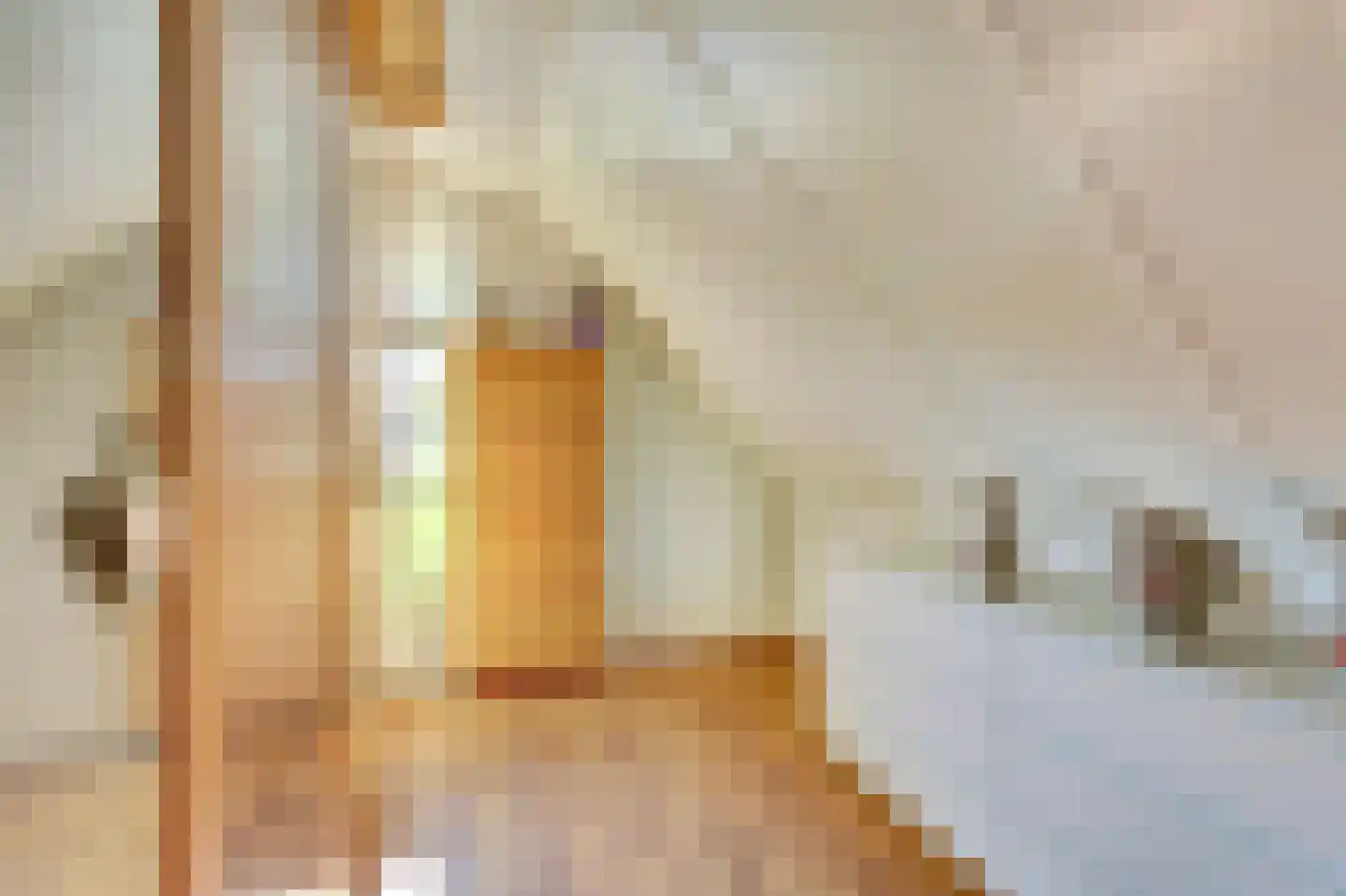 De Heeren van 's-Gravensande 14 's-Gravenzande thumbnail 22