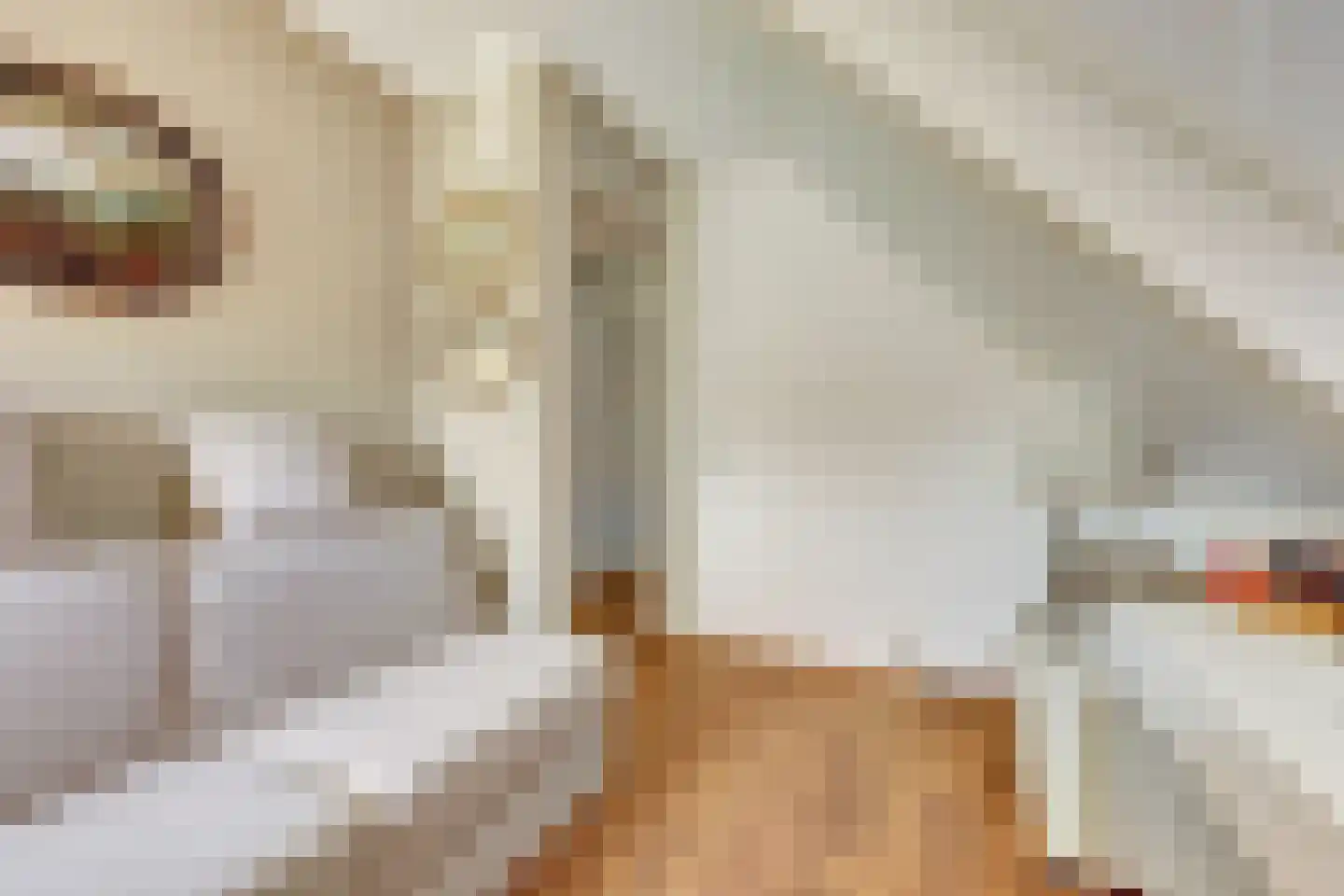 De Heeren van 's-Gravensande 14 's-Gravenzande thumbnail 25
