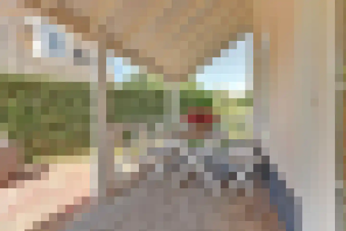 De Heeren van 's-Gravensande 14 's-Gravenzande thumbnail 26