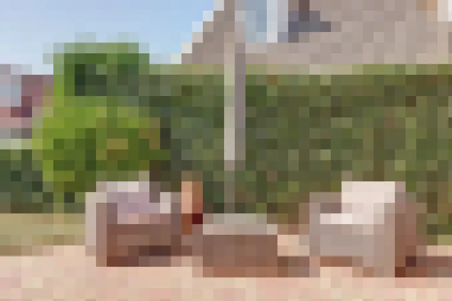 De Heeren van 's-Gravensande 14 's-Gravenzande thumbnail 27