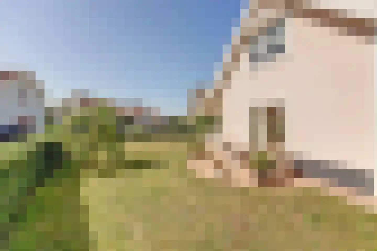 De Heeren van 's-Gravensande 14 's-Gravenzande thumbnail 29