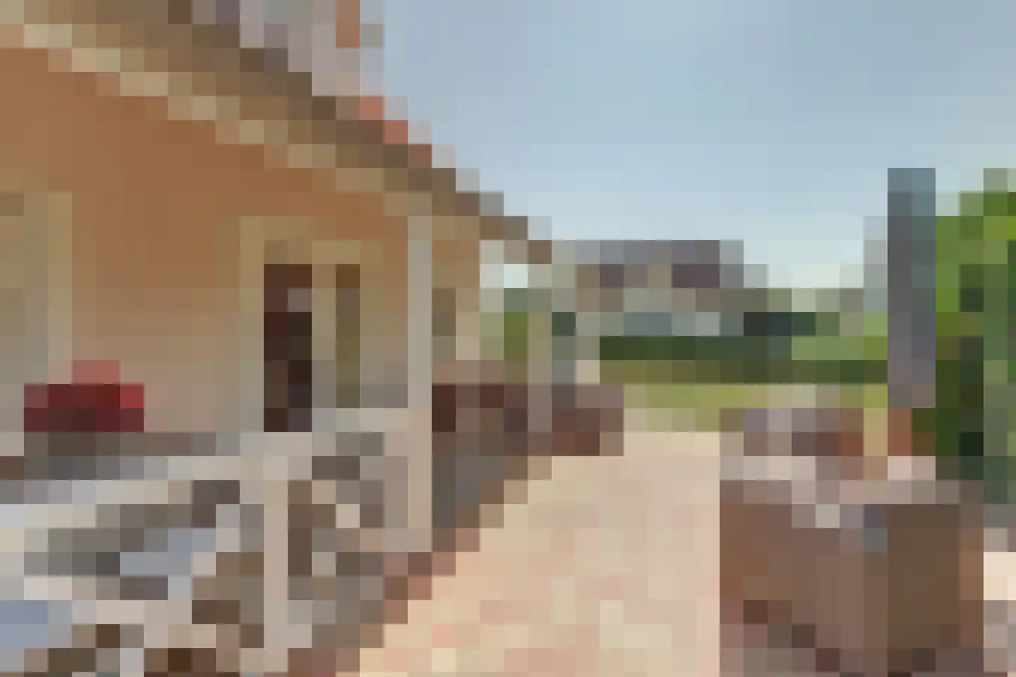 De Heeren van 's-Gravensande 14 's-Gravenzande thumbnail 30