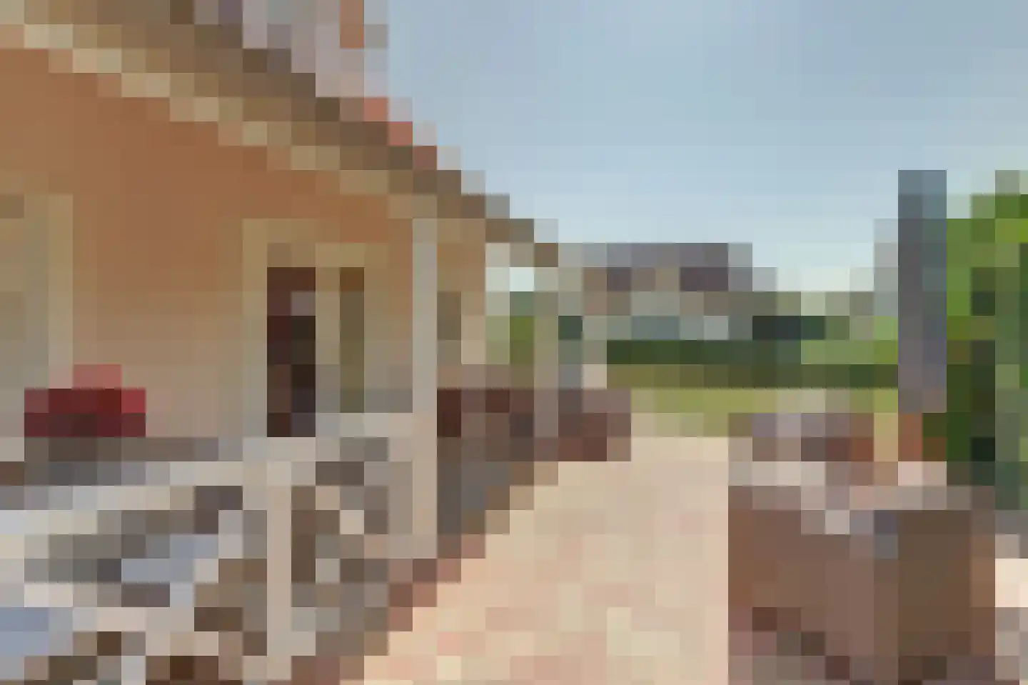 De Heeren van 's-Gravensande 14 's-Gravenzande thumbnail 30