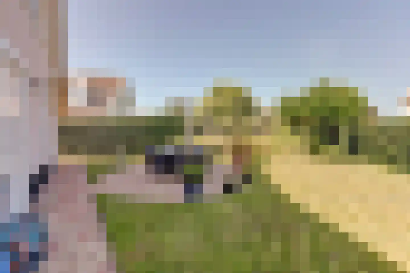 De Heeren van 's-Gravensande 14 's-Gravenzande thumbnail 31