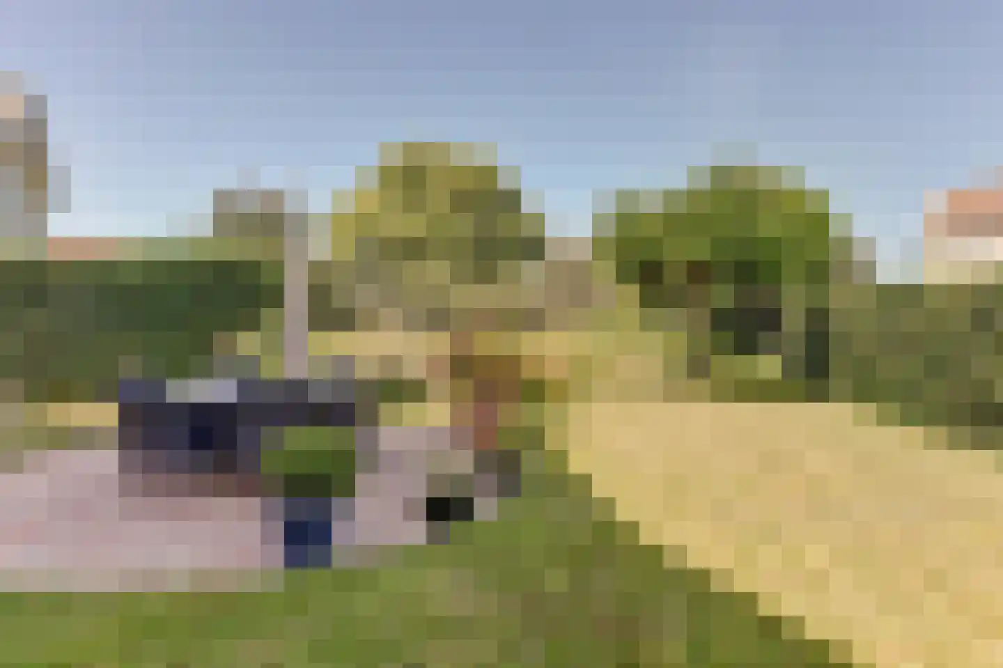 De Heeren van 's-Gravensande 14 's-Gravenzande thumbnail 32