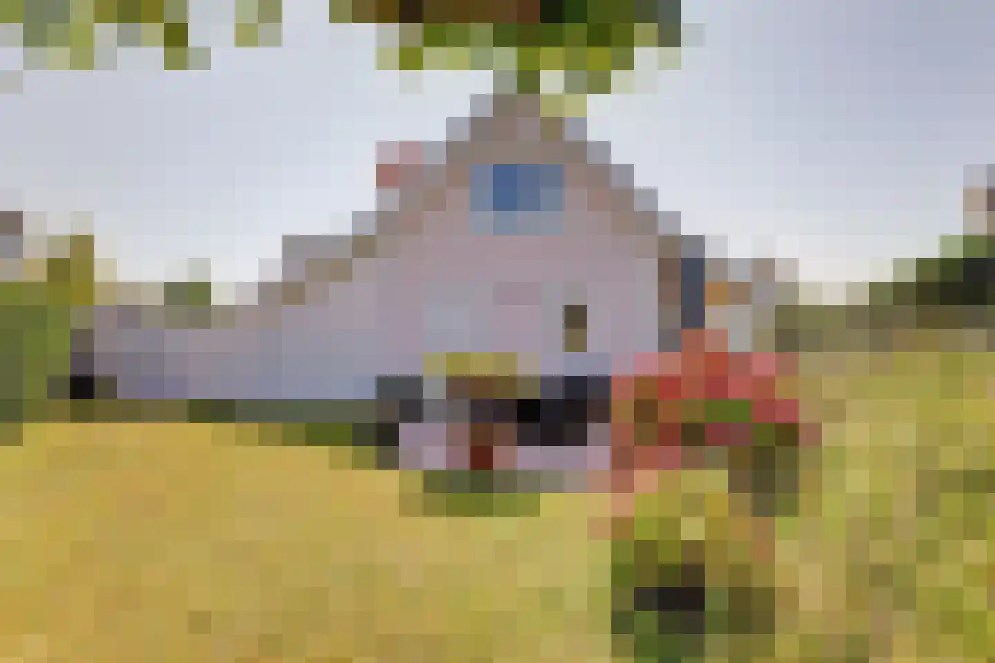 De Heeren van 's-Gravensande 14 's-Gravenzande thumbnail 33