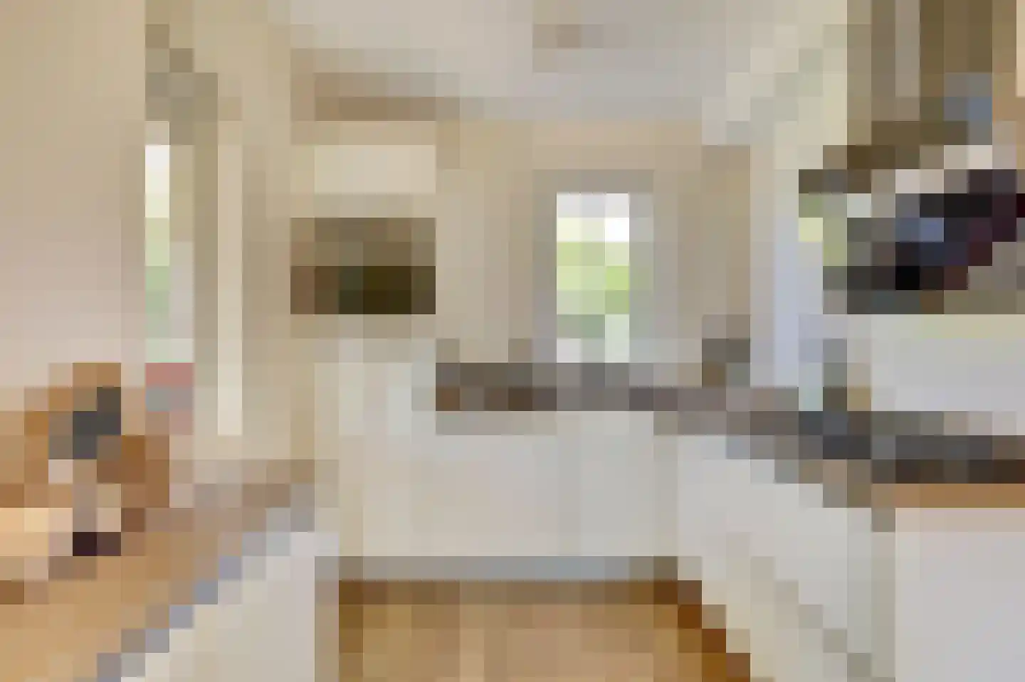 De Heeren van 's-Gravensande 14 's-Gravenzande thumbnail 5