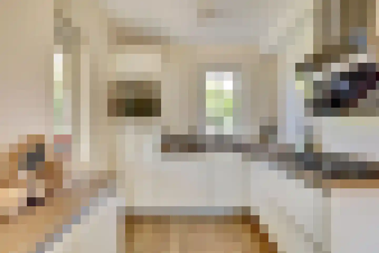 De Heeren van 's-Gravensande 14 's-Gravenzande thumbnail 6