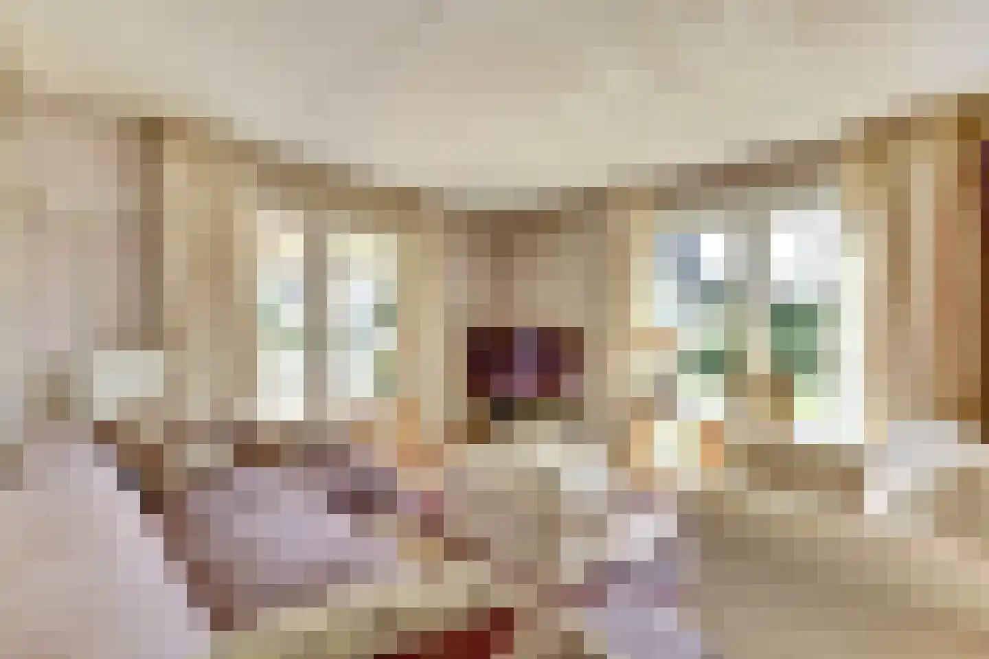 De Heeren van 's-Gravensande 14 's-Gravenzande thumbnail 8