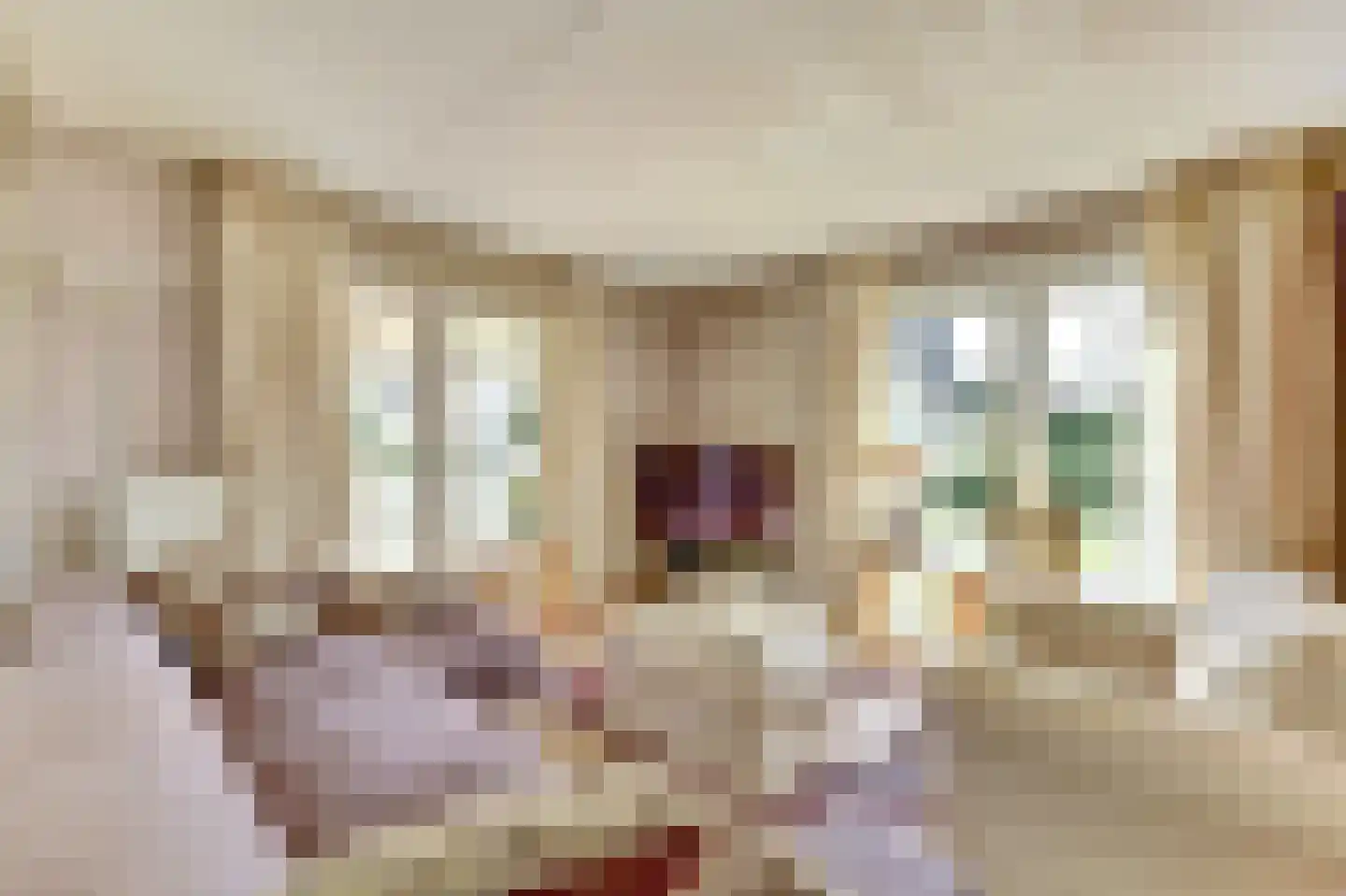 De Heeren van 's-Gravensande 14 's-Gravenzande thumbnail 9