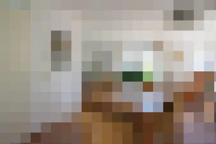 De Heeren van 's-Gravensande 140 's-Gravenzande thumbnail 10