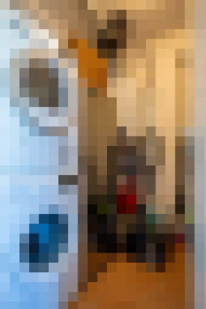 De Heeren van 's-Gravensande 140 's-Gravenzande thumbnail 18