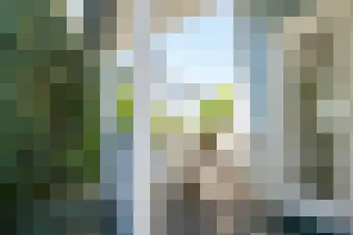 De Heeren van 's-Gravensande 140 's-Gravenzande thumbnail 19