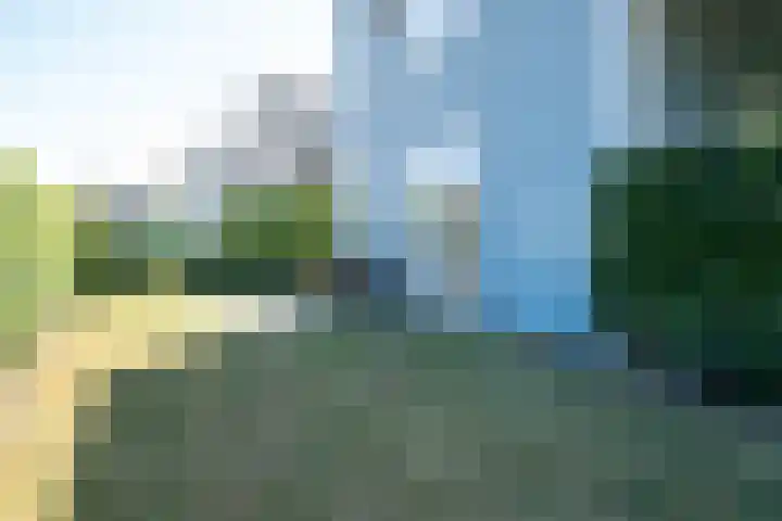 De Heeren van 's-Gravensande 140 's-Gravenzande thumbnail 20