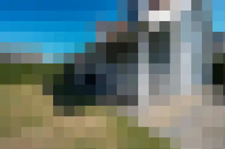 De Heeren van 's-Gravensande 140 's-Gravenzande thumbnail 24