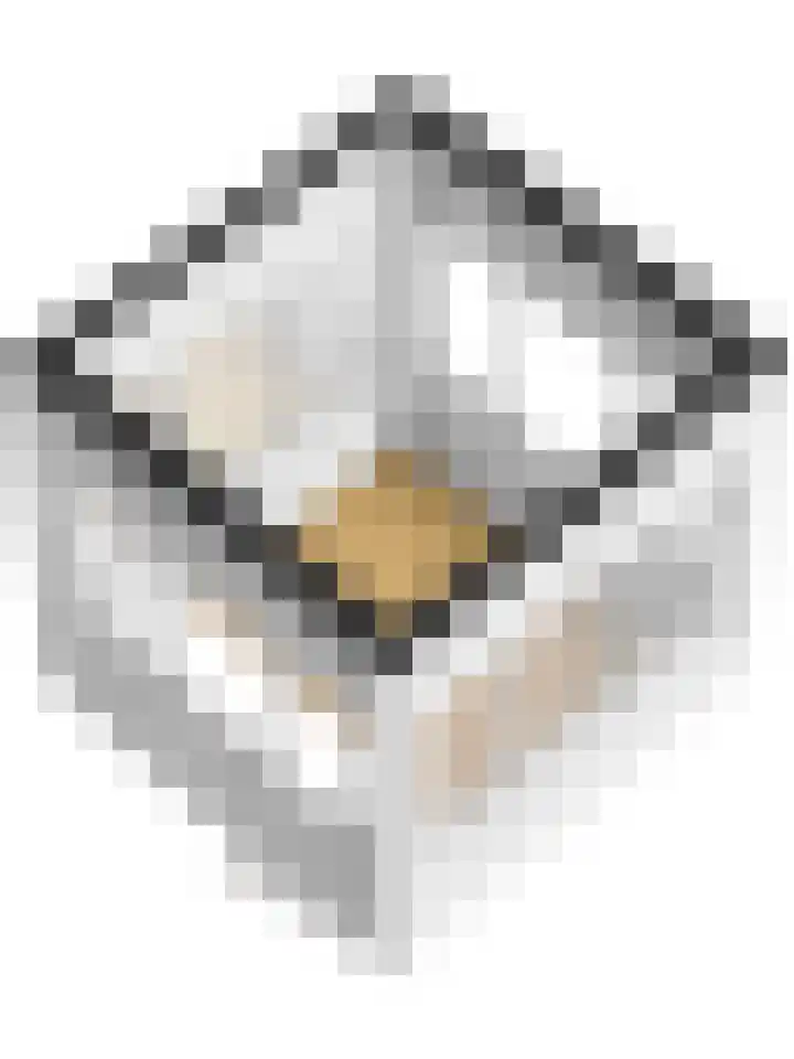 De Heeren van 's-Gravensande 140 's-Gravenzande thumbnail 33