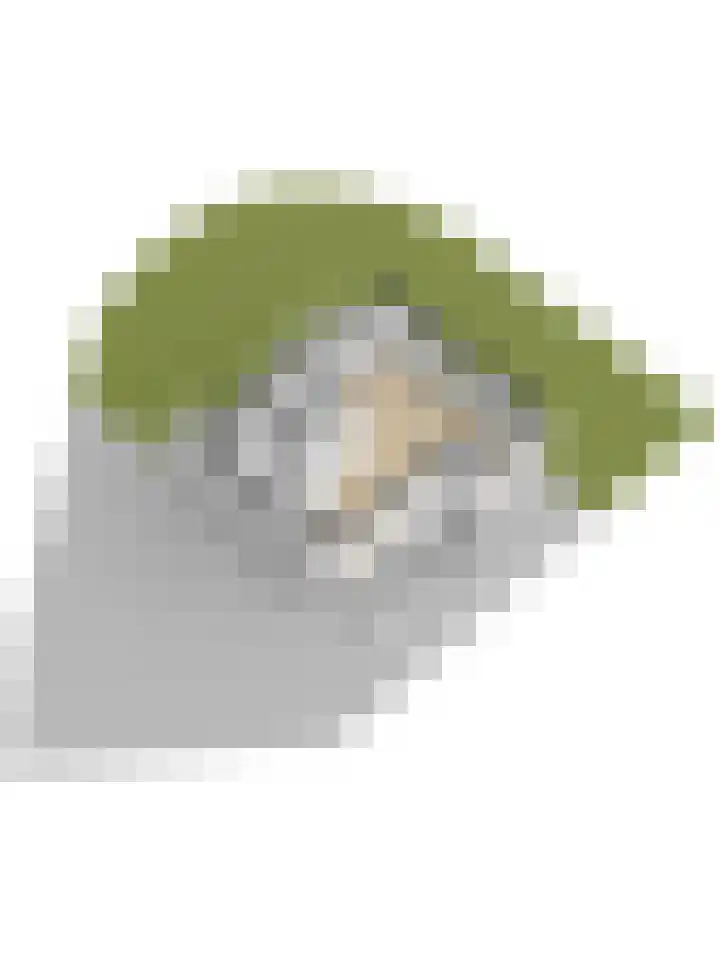 De Heeren van 's-Gravensande 140 's-Gravenzande thumbnail 35