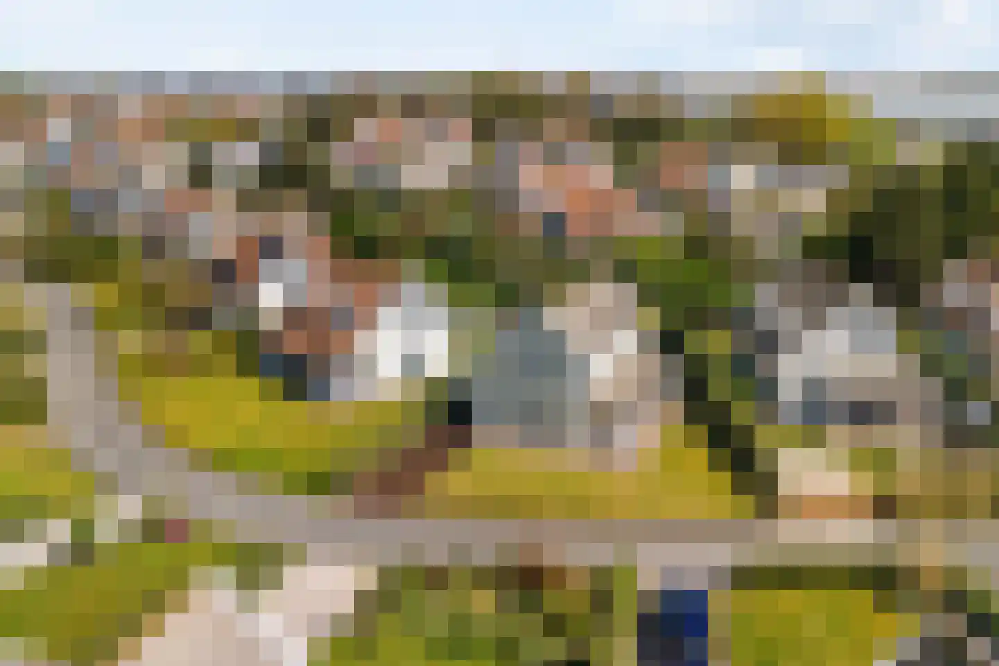De Heeren van 's-Gravensande 171 dans 's-Gravenzande