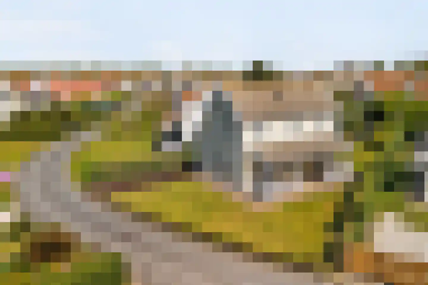 De Heeren van 's-Gravensande 171 's-Gravenzande thumbnail 4