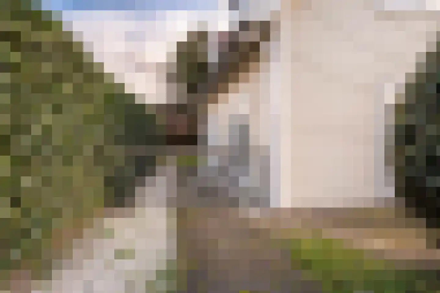 De Heeren van 's-Gravensande 173 's-Gravenzande thumbnail 28