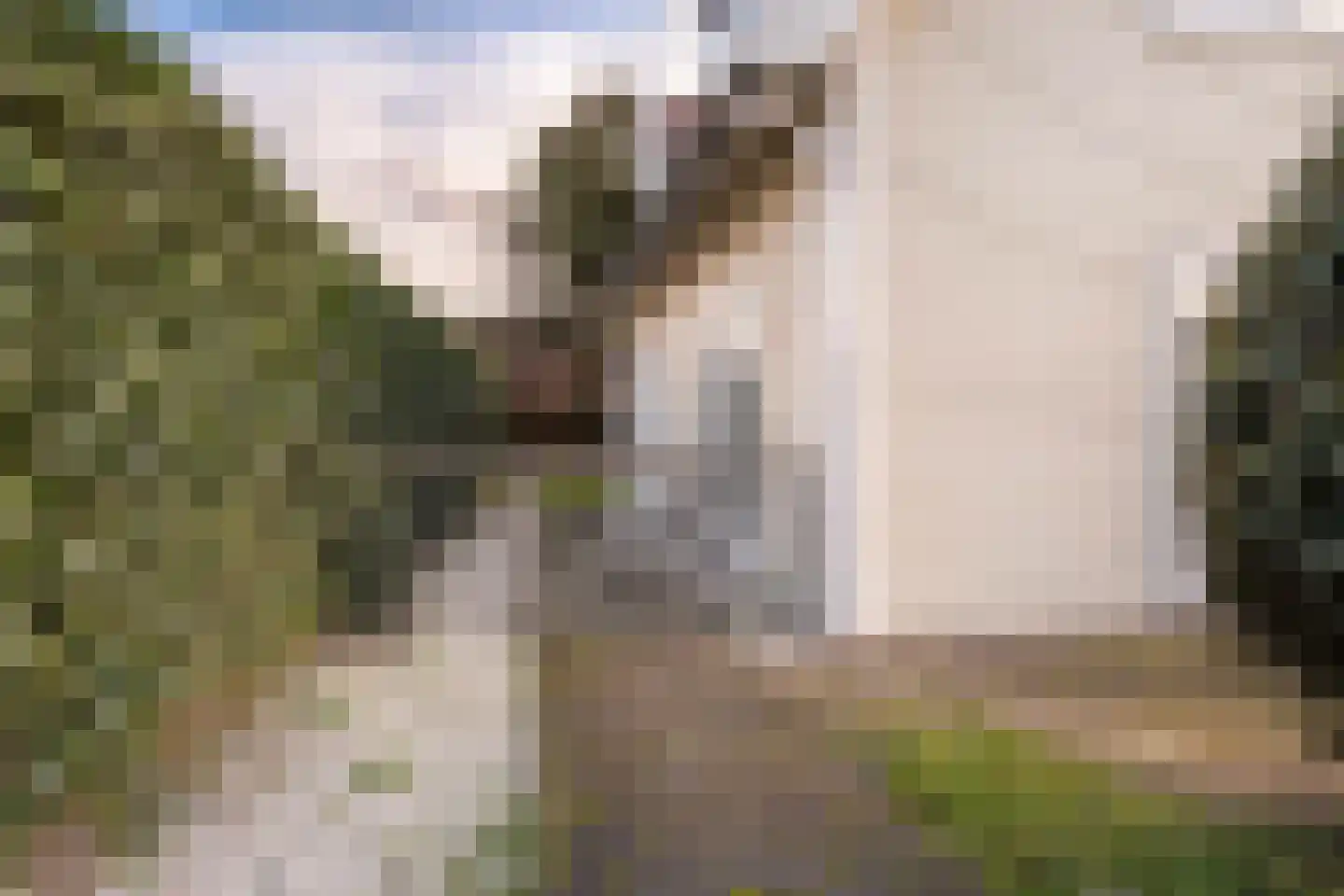 De Heeren van 's-Gravensande 173 's-Gravenzande thumbnail 28