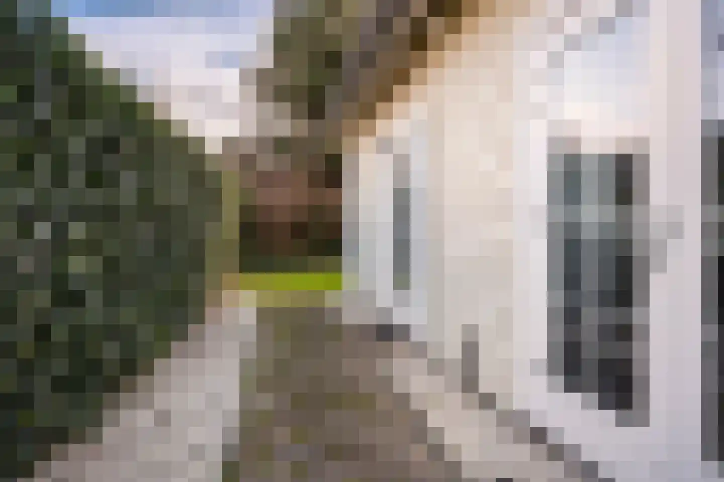 De Heeren van 's-Gravensande 173 's-Gravenzande thumbnail 30