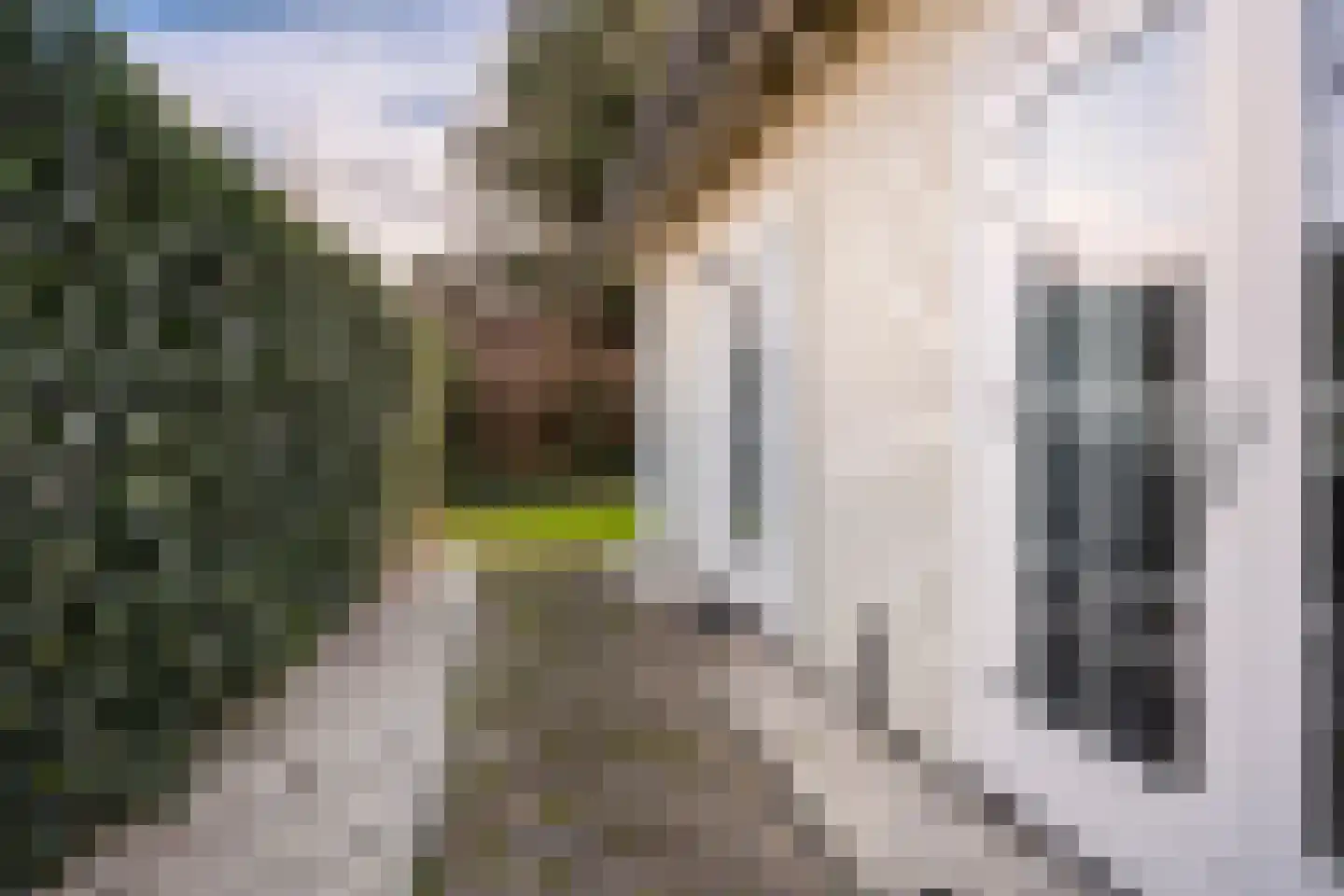 De Heeren van 's-Gravensande 173 's-Gravenzande thumbnail 30