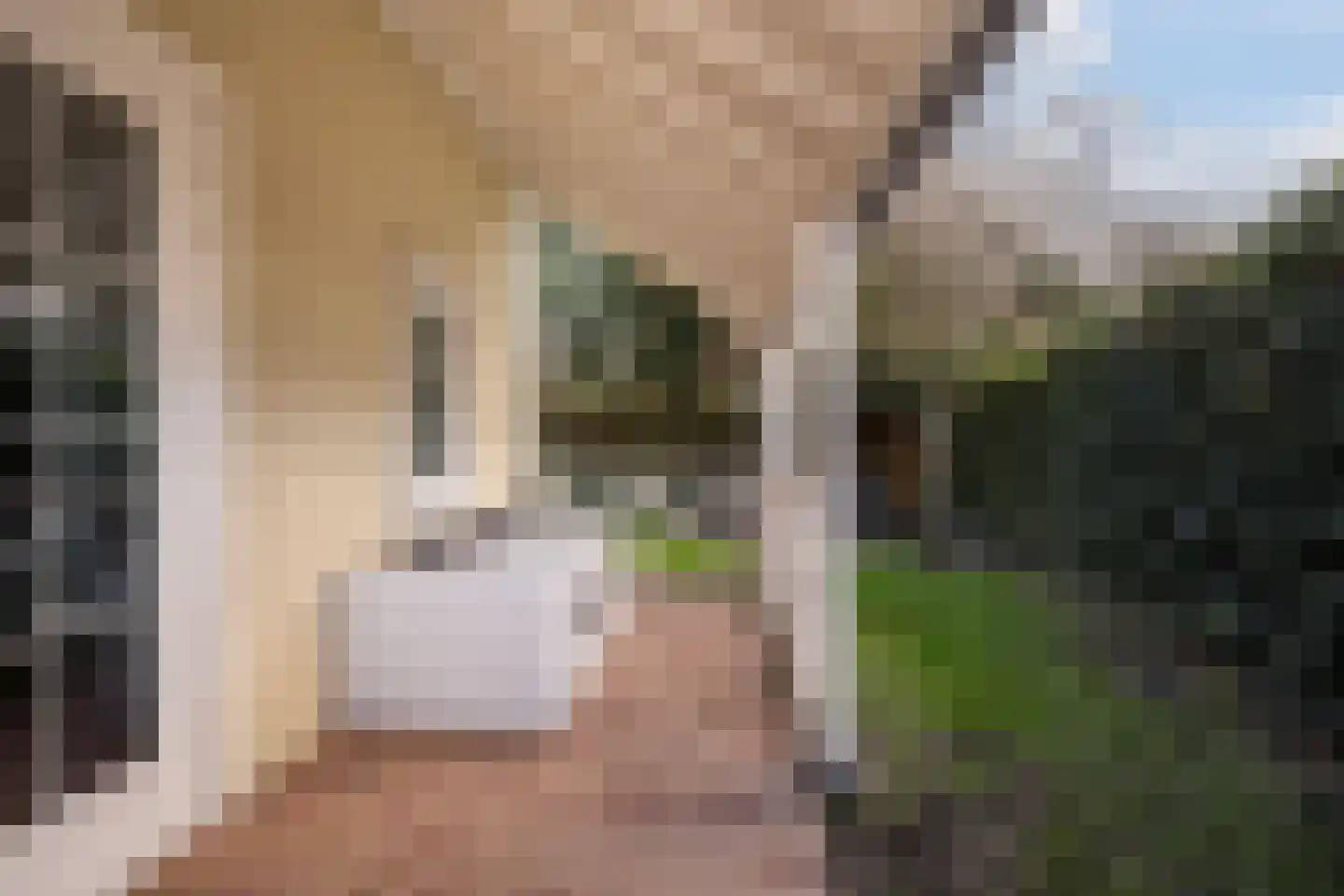 De Heeren van 's-Gravensande 173 's-Gravenzande thumbnail 6