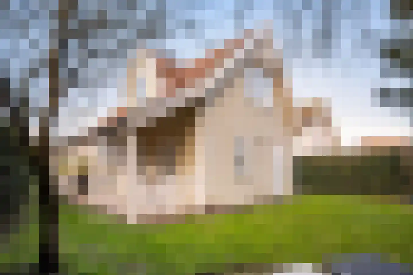 De Heeren van 's-Gravensande 173 's-Gravenzande thumbnail 7