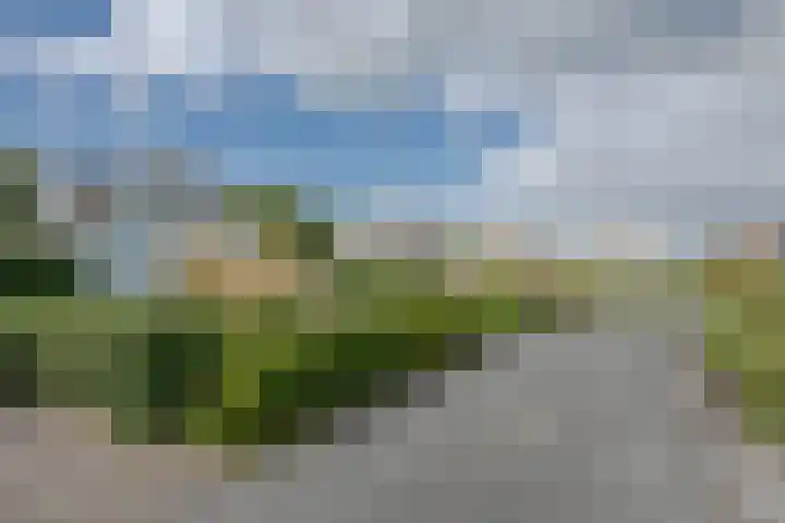 De Heeren van 's-Gravensande 179 's-Gravenzande thumbnail 28