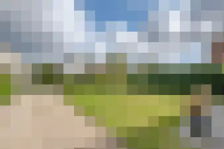 De Heeren van 's-Gravensande 179 's-Gravenzande thumbnail 29