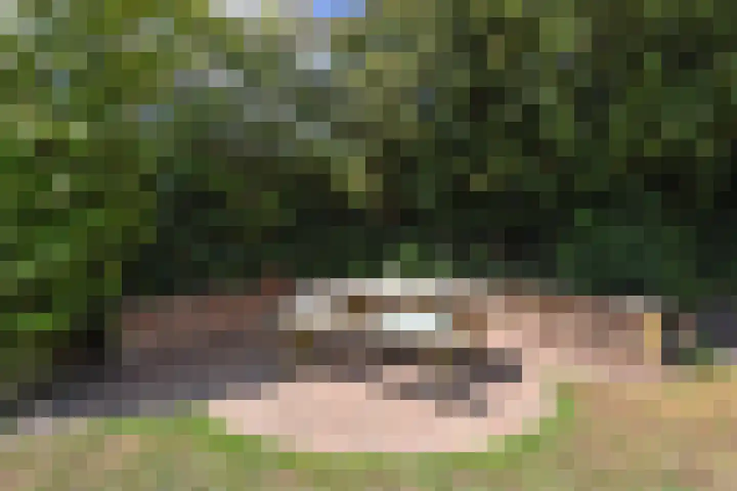De Heeren van 's-Gravensande 28 's-Gravenzande thumbnail 25