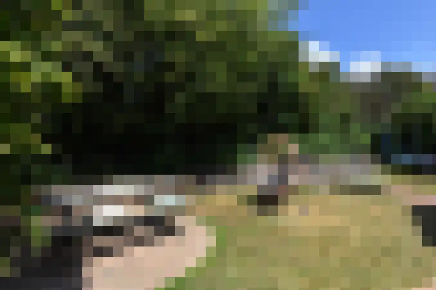 De Heeren van 's-Gravensande 28 's-Gravenzande thumbnail 26