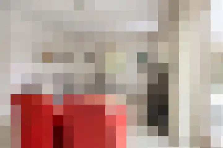 De Heeren van 's-Gravensande 55 's-Gravenzande thumbnail 10
